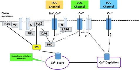 chanel voc